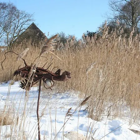 Oewern Diek 60 Апартаменты *