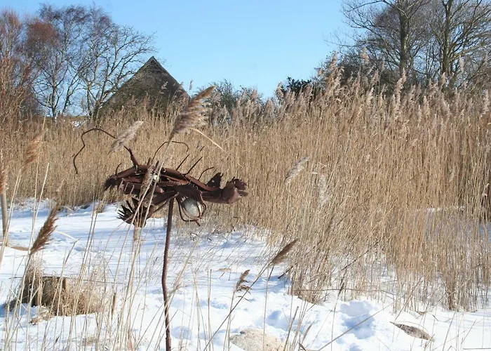 Oewern Diek 60 アパート *