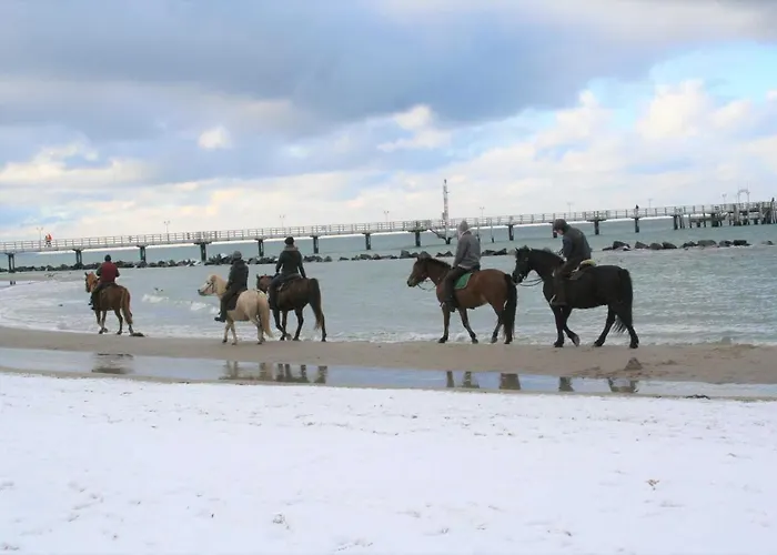 Oewern Diek 60 * ヴストロ